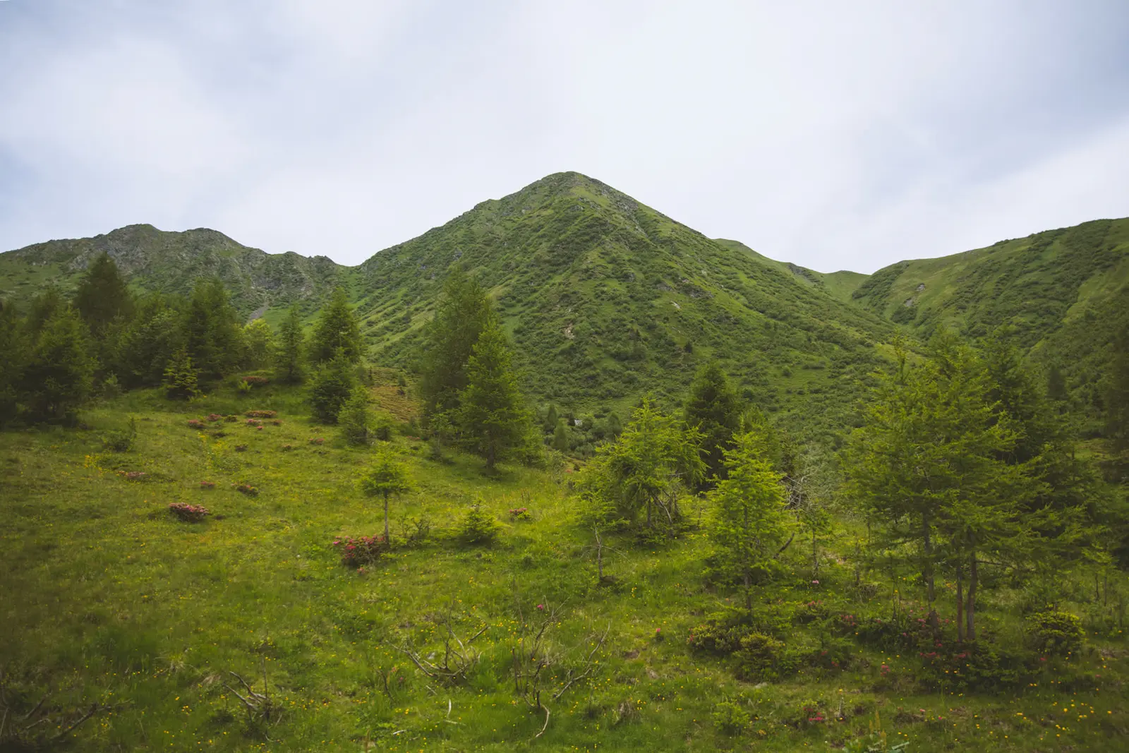 Panorama alpino visibile dalla Malga Morareto
