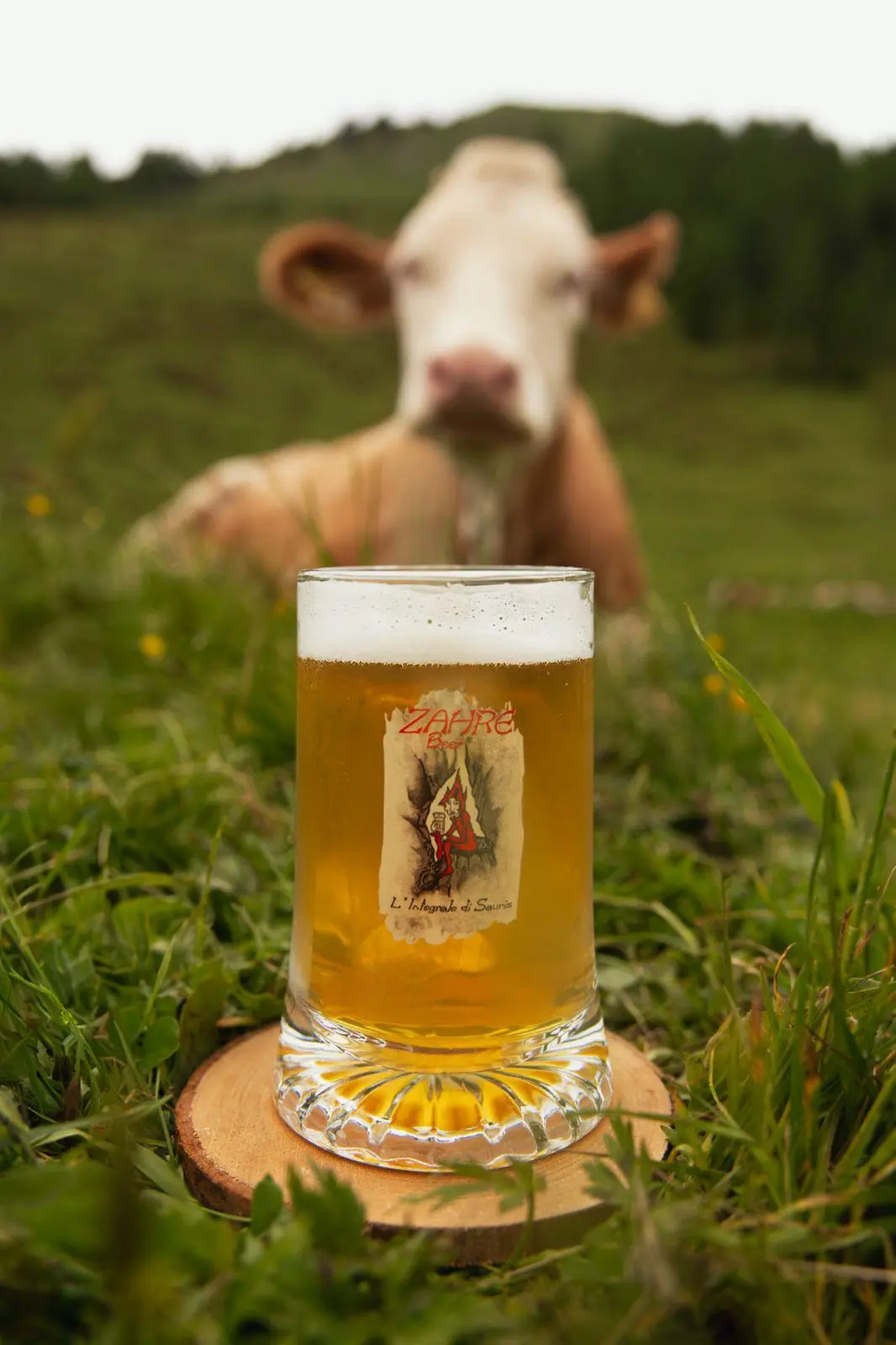 Animali al pascolo sui prati della montagna